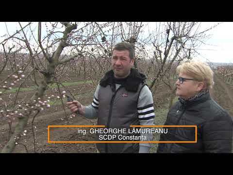 6 mese pe zi pentru a pierde în greutate