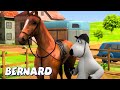 Bernard Bear Horse Race AND MORE Cartoons For Children Full Episodes