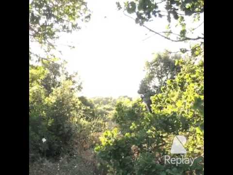 Francesco, Filippo, Luigi e Donato