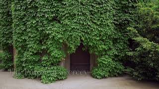 Top 15 Forbidden Places You’re Not Allowed to Visit