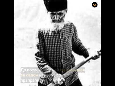 Долгожитель азербайджана ширали муслимов Долгожитель азербайджана ширали муслимов