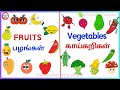 Fruits And Vegetables பழங்கள் காய்கறிகள் Fruits Veg In Tamil And E