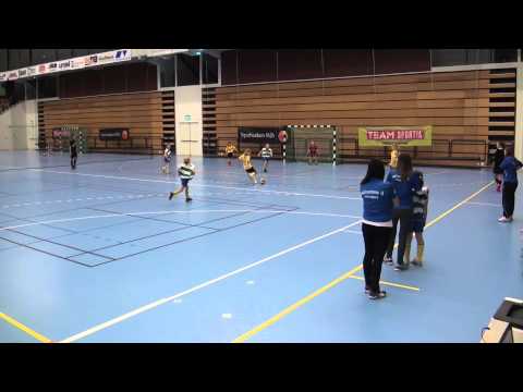 Final Kristianstad Arena