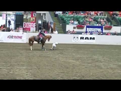 Extreme Mustang Makeover 2017 Massachussetts