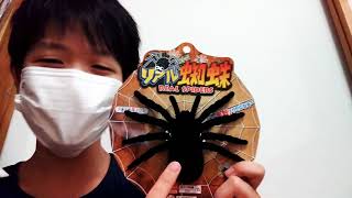 購入品紹介(100円ショップバージョン)