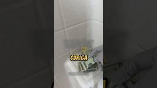 Download lagu Bro Mau NGECEK Apakah Adiknya Suka MANDI Atau Tidak ‼️😮 #lucu #videoviral #mandi mp3 Download lagu Bro Mau NGECEK Apakah Adiknya Suka MANDI Atau Tidak ‼️😮 #lucu #videoviral #mandi mp3