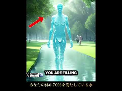 猛暑:どこまで耐えられるでしょうか?研究は憂慮すべき結果に至る