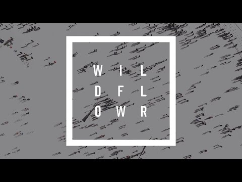 dutchkid - Wildflower (Official Lyric Video)