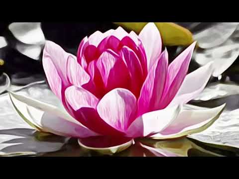 Reconecting (Reconectando)