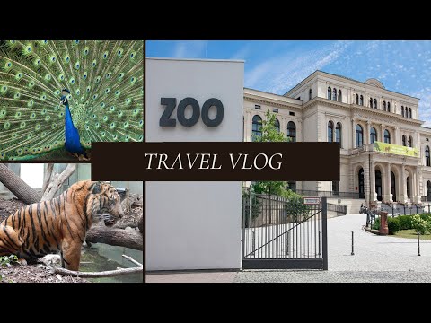 🇩🇪 Frankfurt Zoo Review, SUBSCRIBE TO OUR CHANNEL RECIVE FULL VIDEO باغ وحش فرانکفورت جرمنی
