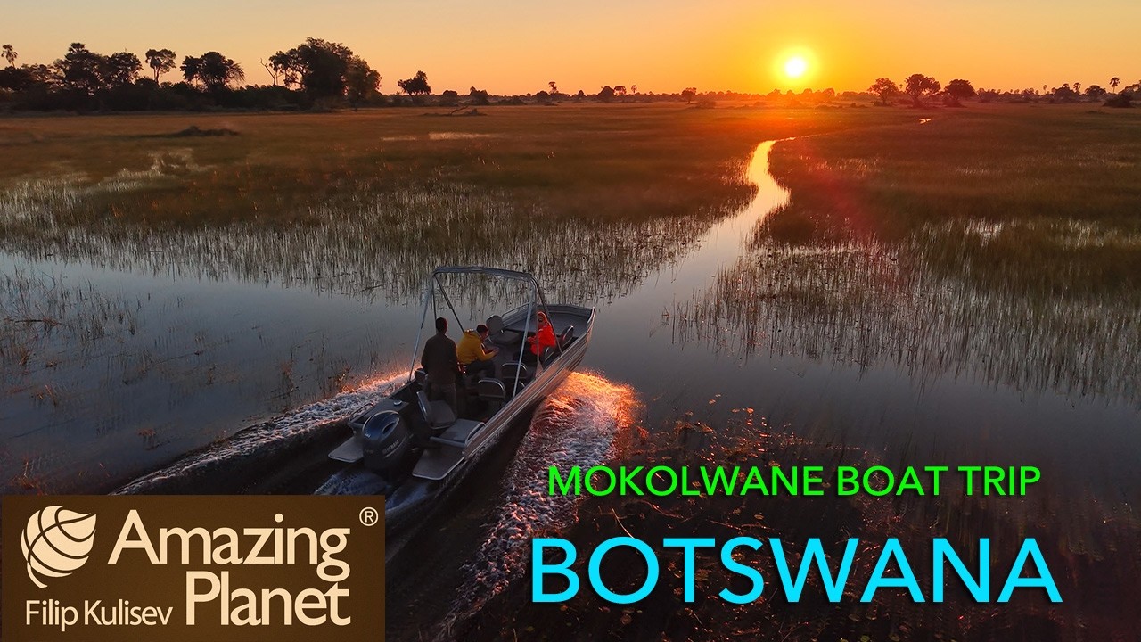 Okavango Boat trip, Mokolwane, Botswana: Amazing Planet (4K) 2026