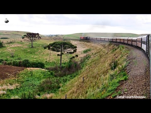 🇧🇷 Trem da ABPF/Sul / ABPF/Sul train - Vacaria/RS - 2020 - (Brasil)