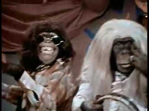 lancelot link   Evolution Revolution