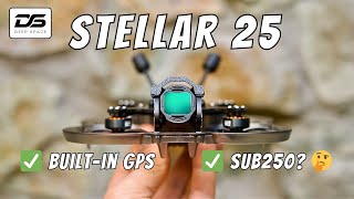 DeepSpace FPV Stellar 25 - the ultimate sub250g 2.5" Cinewhoop?