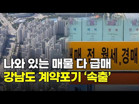 쏟아지는 경매 아파트, 강남도 계약포기 '속출'...계엄 충격에 환율 폭등까지...부동산 거품이 꺼질 수 밖에 없는 이유.