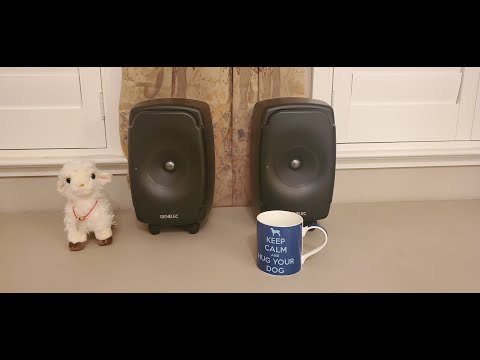 Genelec 8331 "The Ones" Sound Demo