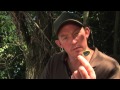 Відео Голка із застібкою для лідкора Fox Edges Splicing Needle Blue