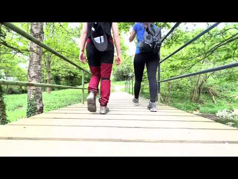 Lieserpfad Etappe1 von Boxberg nach Daun