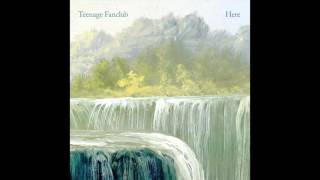 Teenage Fanclub "I'm in Love"