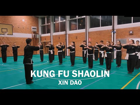 Corso Kung Fu Shaolin - Scuola Xin Dao [Milano]