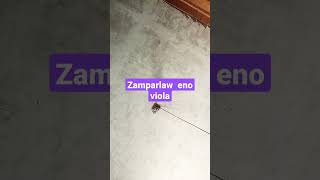 Download lagu zamparlaw Eno viola mp3 Download lagu zamparlaw Eno viola mp3