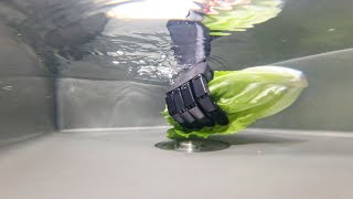 🤖 Heyman Tech's Humanoid Hand: IP68 Waterproof and Deep-Sea Capable! #robotics  #ip68 #deepsea