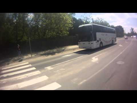 Zebra - Nem mert lelépni. Segítettem...