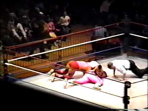 Bret Hart Vs Ric Flair 60-Min Iron Man Match 1993
