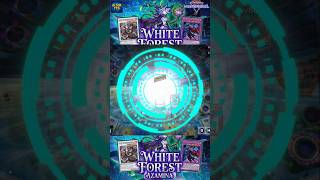 White Forest vs Kewl Tune #shorts #yugioh #masterduel #yugiohcommunity