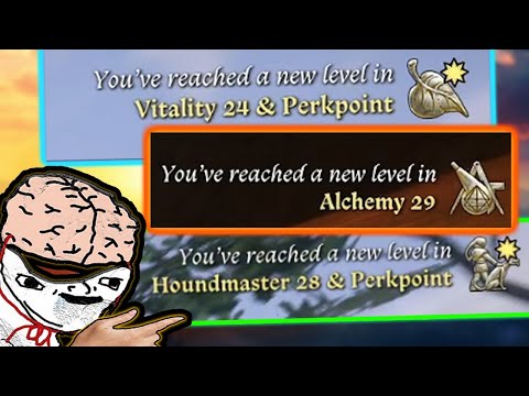 The Lazy Idiot Guide To Leveling in KC:D 2!