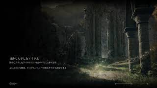 エルデンリングn回目