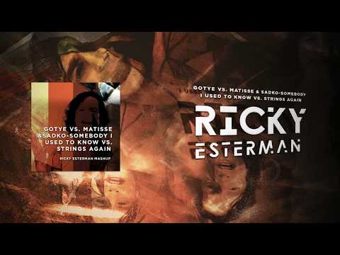 Gotye Vs. Matisse & Sadko-Somebody I Used To Know Vs. Strings Again (Ricky Esterman Mashup)