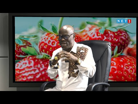 WATCH LIVE: SECRETS OF HEALTH WITH OHENEBA BARIMA NTIM (AUGUST 1, 2025)