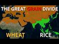How Eating Wheat vs Rice Shaped EVERYTHING About Us