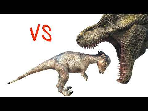 Long Battle 1vs1 ARBS｜ Pachycephalosaurus VS T-REX  --  Animal Revolt Battle Simulator