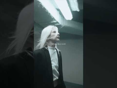 Dara - Sărutul tău #dara #marej #tiktok #tiktoksound #hituri #muzicanoua2023