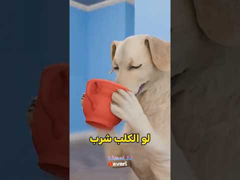 شوف هذا الفيديو
