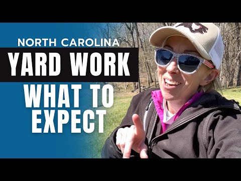 Lawn Care Maintenance You Can Expect in North Carolina