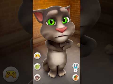 Talking Tom Cat  #shorts #funny #talkingtom