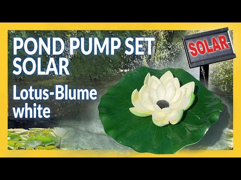 Pond Pump Set Solar Lotus-Blume weiß (Lotus flower white) - english