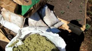 Preparing a garden bed with Azomite and trace minerals