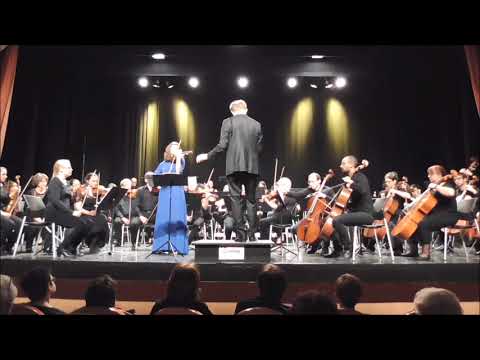 Sibelius — Concerto pour violon (extraits)