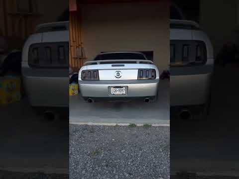 Ford Racing Hotrod Cams 08 3V Mustang GT