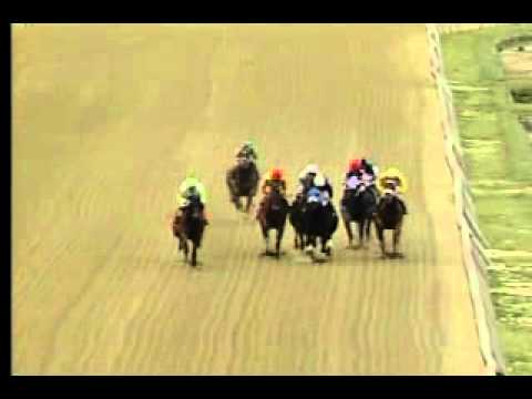 Pimlico 05/27/13 Race 8