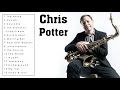 The Very Best of Chris Potter (Full Album)