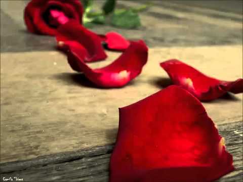 A rosa desfolhada video