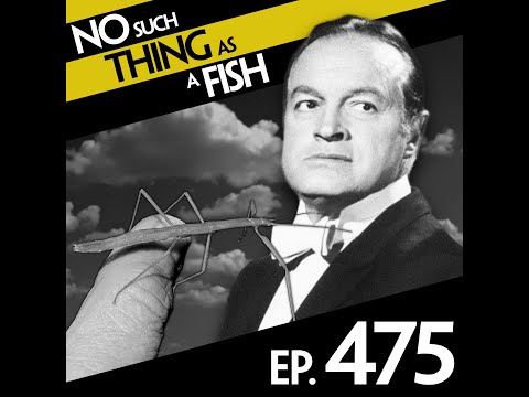 Ep 475: No Such Thing As The Three Little Pigs of Wall Street