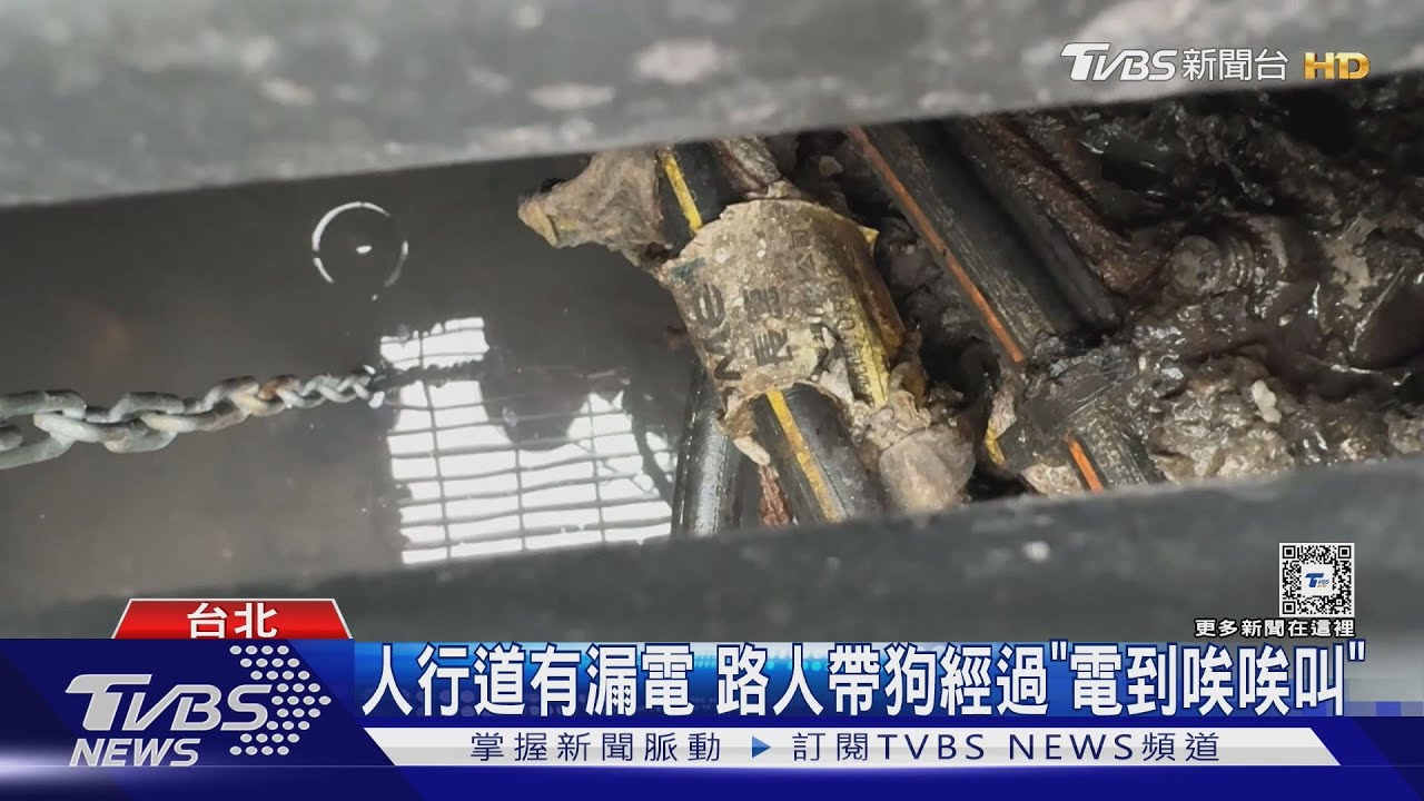 人行道有漏電 路人帶狗經過「電到唉唉叫」