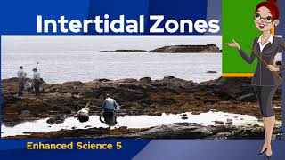 Enhanced Science 5 Interaction for Survival in the Intertidal Zones