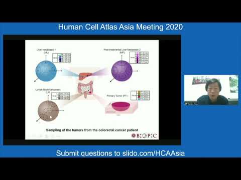 HCA Meeting Asia 2020: Plenary-8 - Decoding the mechanisms of human development & diseases
